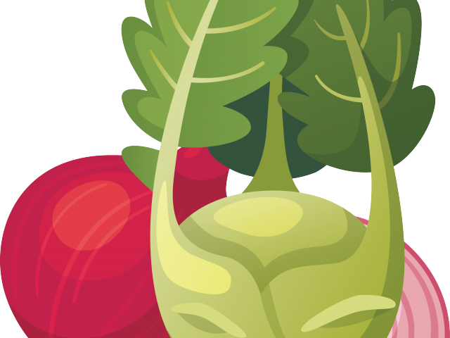 Radish Clipart Turnip - Vegetable (640x480), Png Download