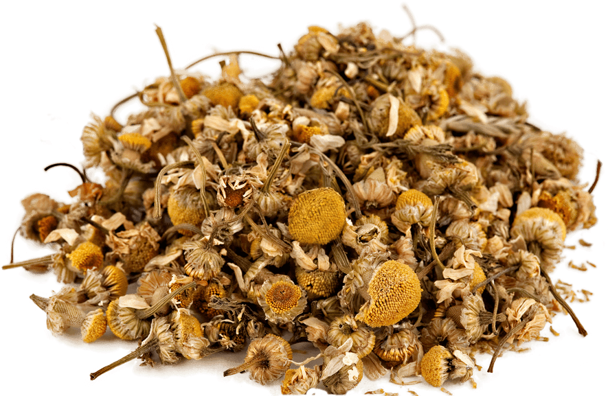 Seed (920x596), Png Download