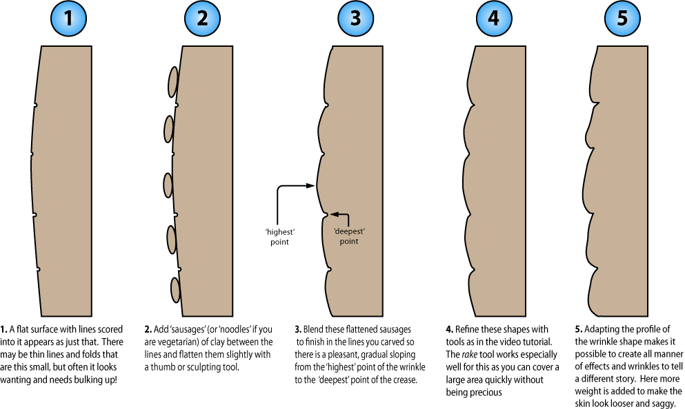 Illustration Showing A Cross Section Of Wrinkle Sculpting - Sculpting Wrinkles (993x594), Png Download