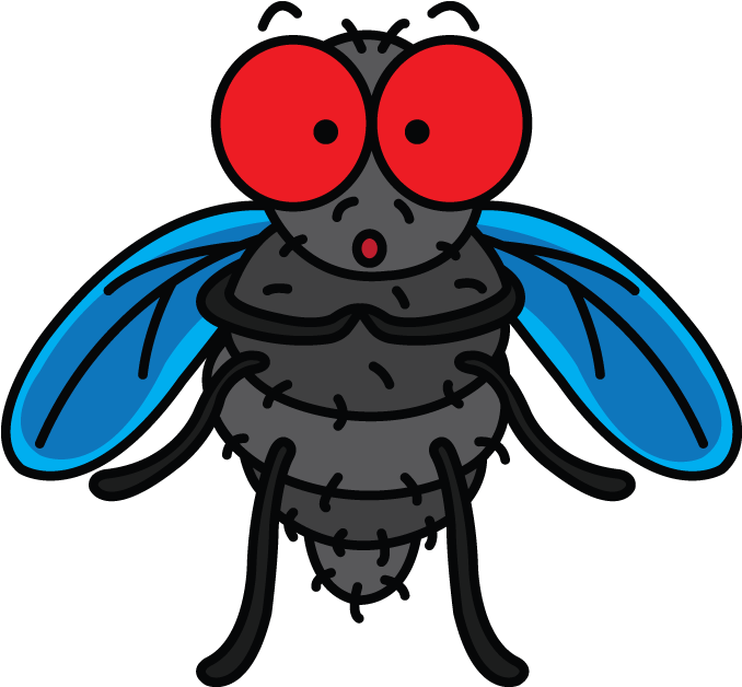 720 X 1280 3 - Drawings Of A Fly (720x1280), Png Download