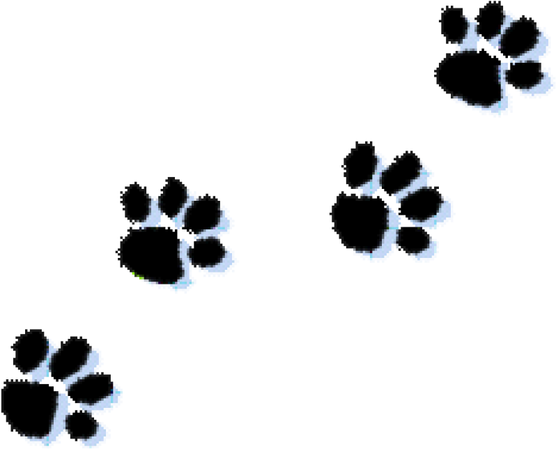 Paw Prints Clipart Cat Paw Print Clipart Kid Clipartix - Clip Art Transparent Paw Prints (1024x1024), Png Download