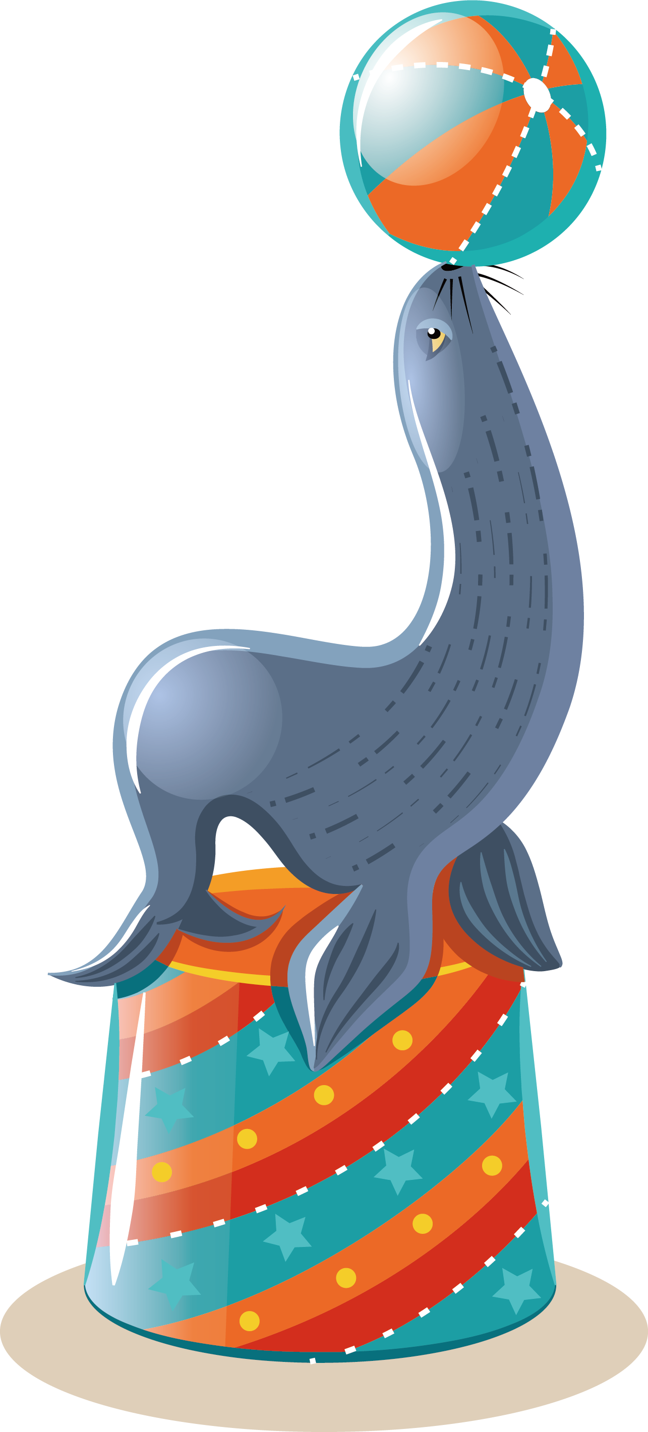Sea Lion Illustration - Vector Graphics (1285x2840), Png Download