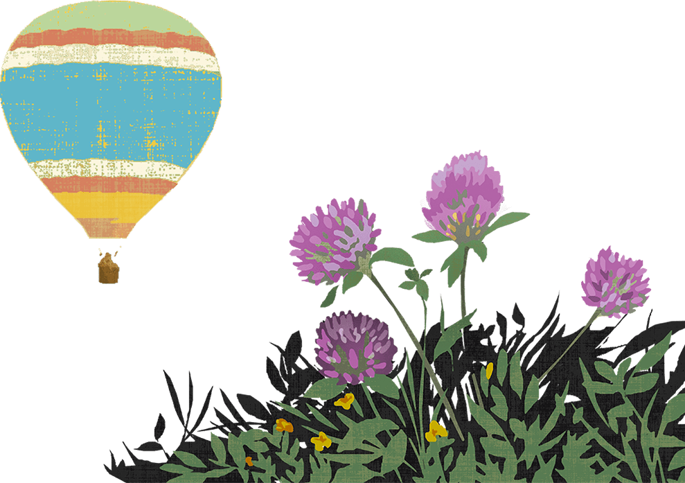Hot Air Balloon (989x697), Png Download