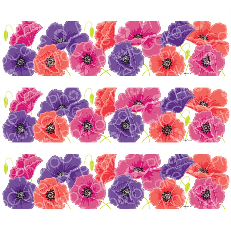 Poppies - Image Strips - Dianthus (800x800), Png Download