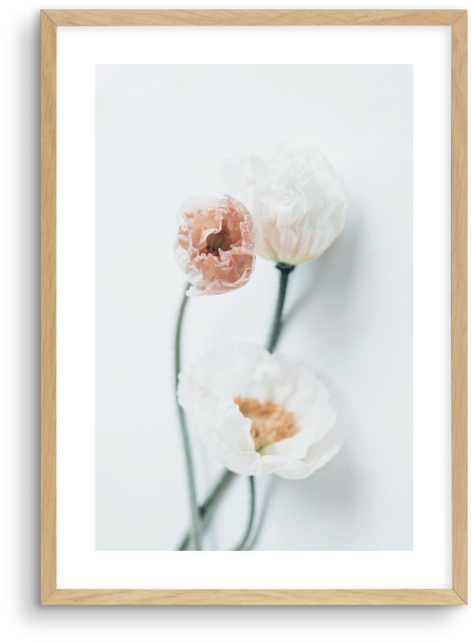 Summer Poppies No 1 - Picture Frame (600x748), Png Download