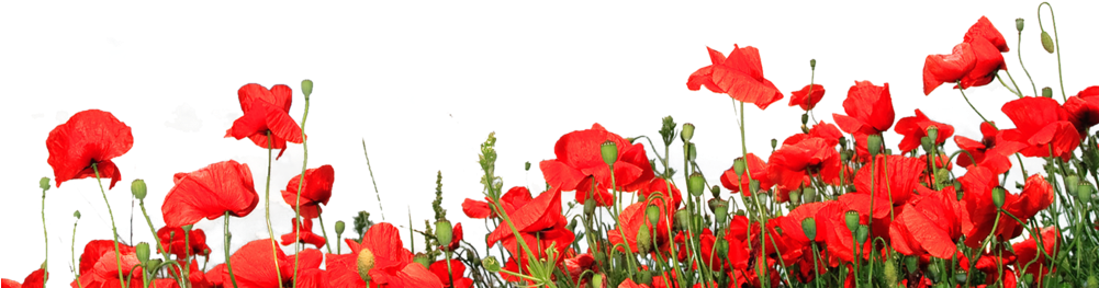 Recompose Is A Public Benefit Corporation (1000x275), Png Download