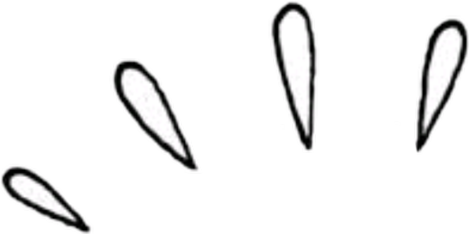 Transparent Photos For Edits (961x480), Png Download