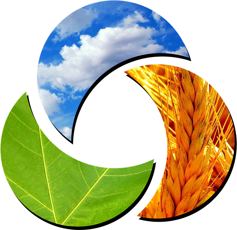 Tres Veces Al Día, Mezclar Las Gotas De H2o En 250 - Circle (919x939), Png Download