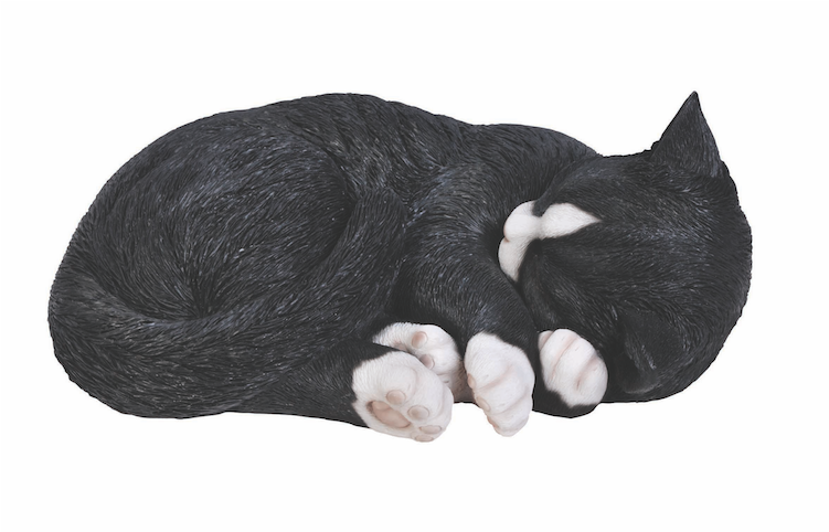 Sleeping Black Cat Png (750x750), Png Download