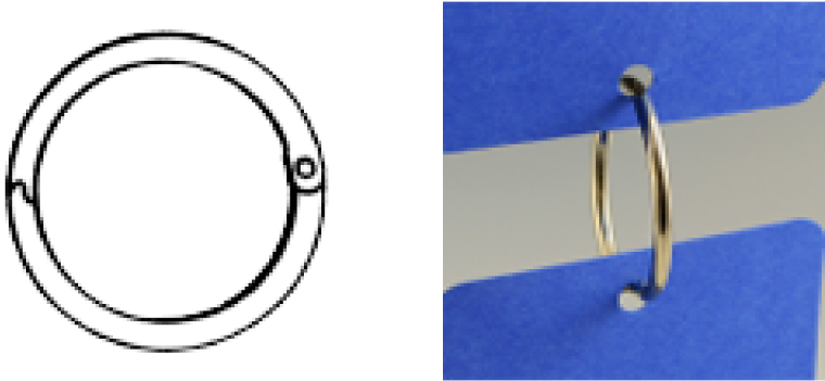 More Views - Circle (800x800), Png Download