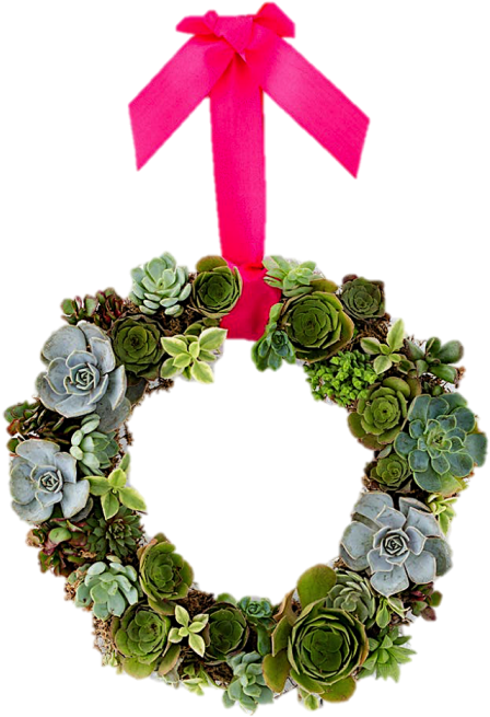 Living Succulent Wreath - Wreath (600x674), Png Download