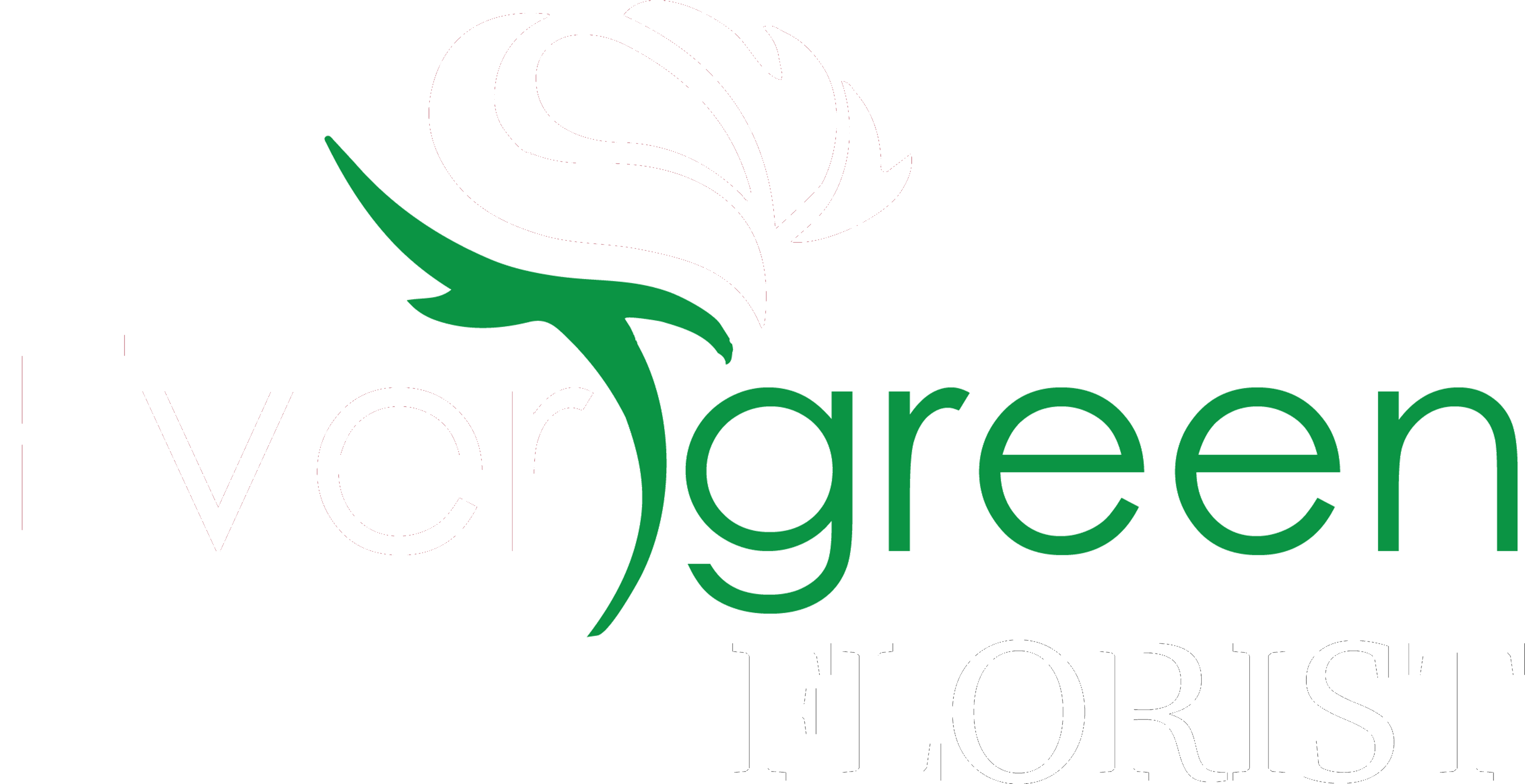 Evergreen Florist - Arena Castelão (8370x4400), Png Download