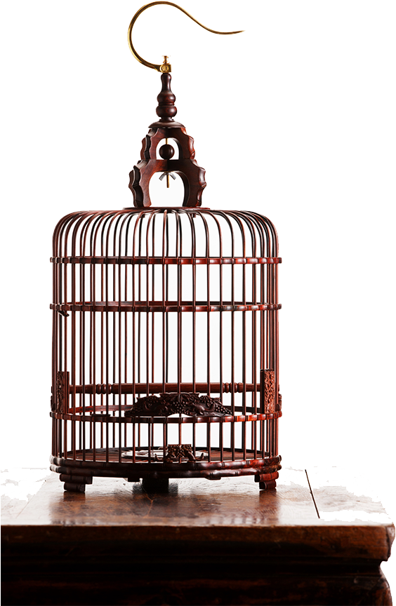 Birdcage Png Pic - Cage (900x900), Png Download