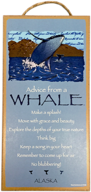 Advice From A Whale Wood Plaque - Poster (650x650), Png Download