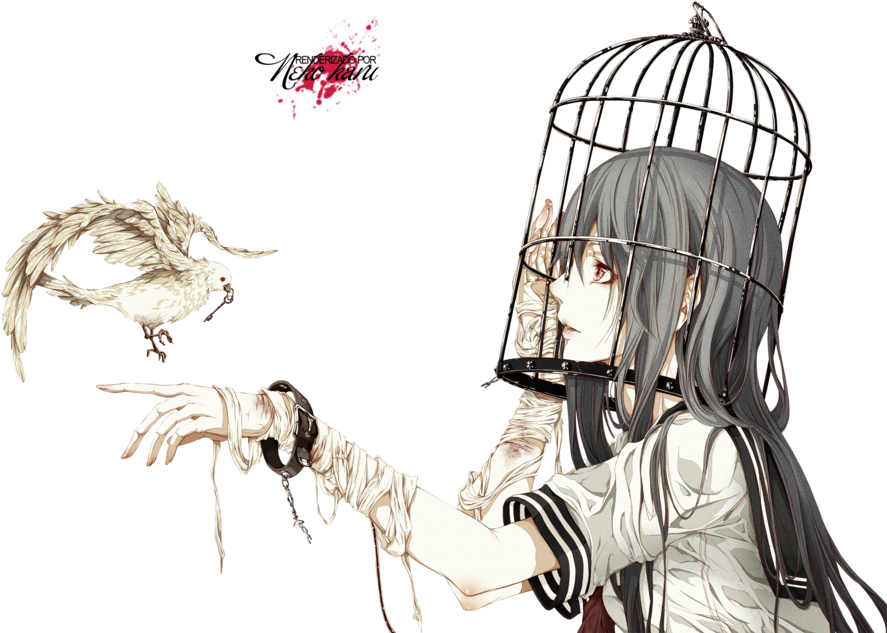 Drawn Birdcage Girl In Cage - Bird Cage Anime (900x658), Png Download