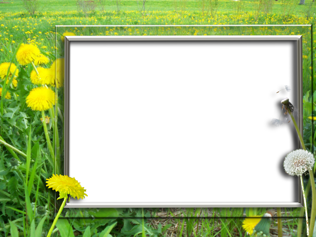 Dandelions Frames - Picture Frame (1024x768), Png Download