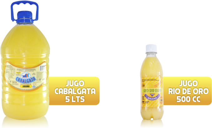 Jugos-anana - Plastic Bottle (999x443), Png Download