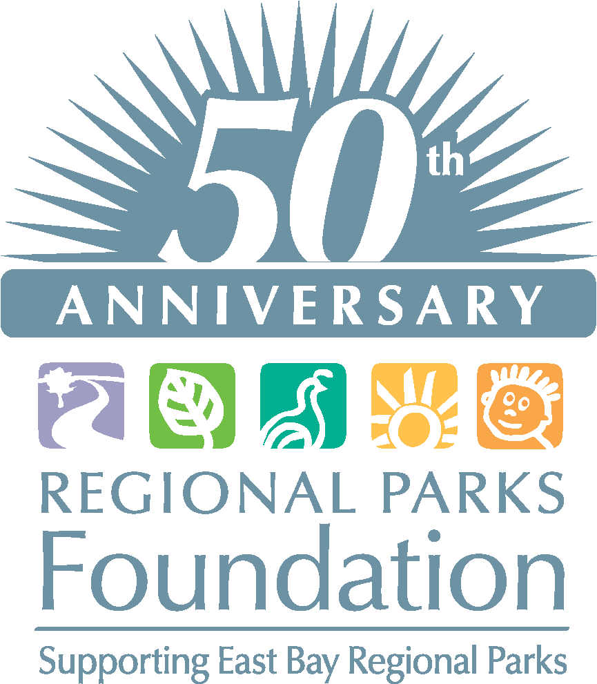 Parker Pen (1000x1200), Png Download