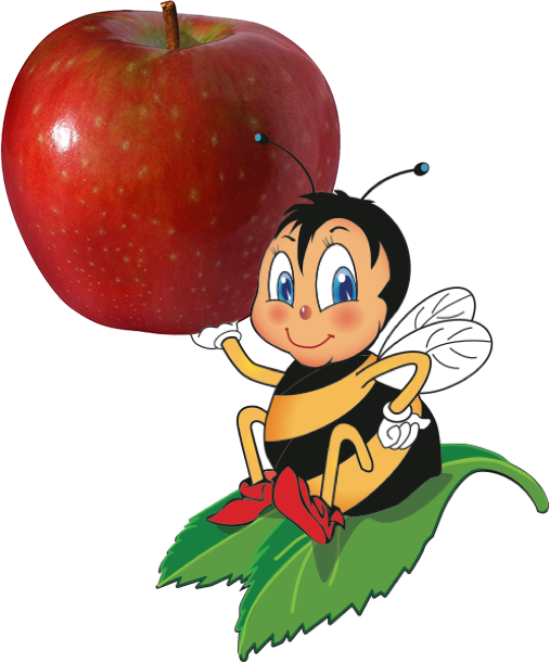 Bee Eating A Apple (507x611), Png Download