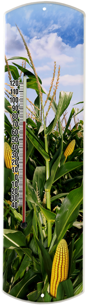 Cornfield On Large - Cash Crop (300x1032), Png Download