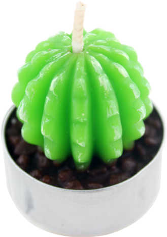 Wholesale Cute Shaped Cactus Candle Green Plant Candle - Flowerpot (750x750), Png Download