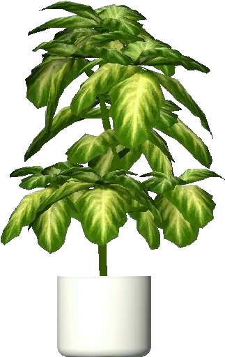 Plantas 3d - Aglaonema Crispum - Planta Aglaonema Png (750x527), Png Download