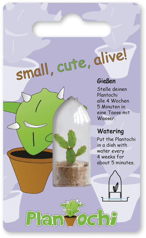 Flowerpot (800x800), Png Download