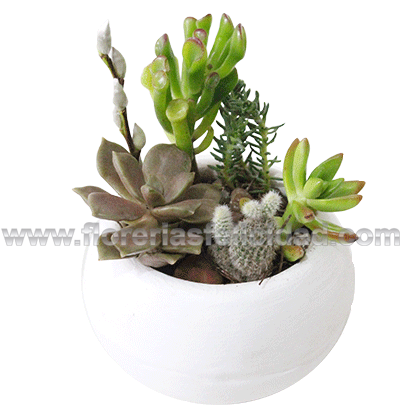Añadir A La Lista De Deseos Loading - Planta De Oficina Png (700x467), Png Download