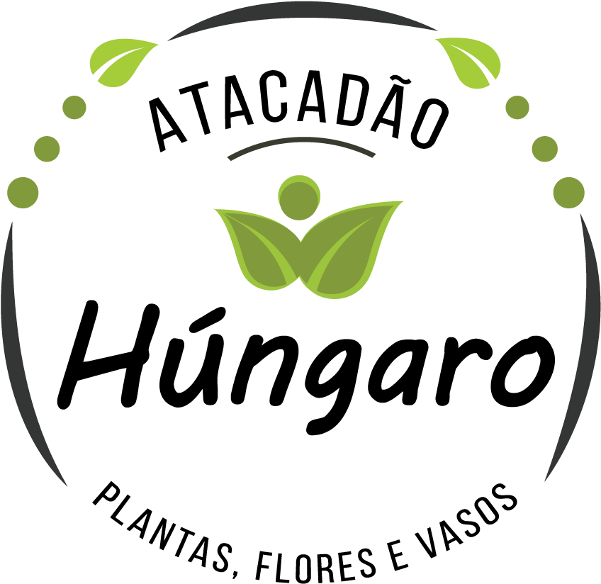 Graphic Design (1000x1000), Png Download