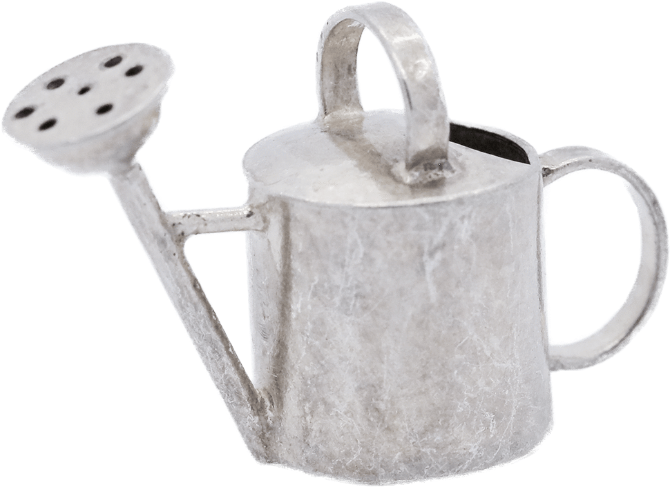 Wateringcan V=1531883741 - Watering Can (1000x1000), Png Download