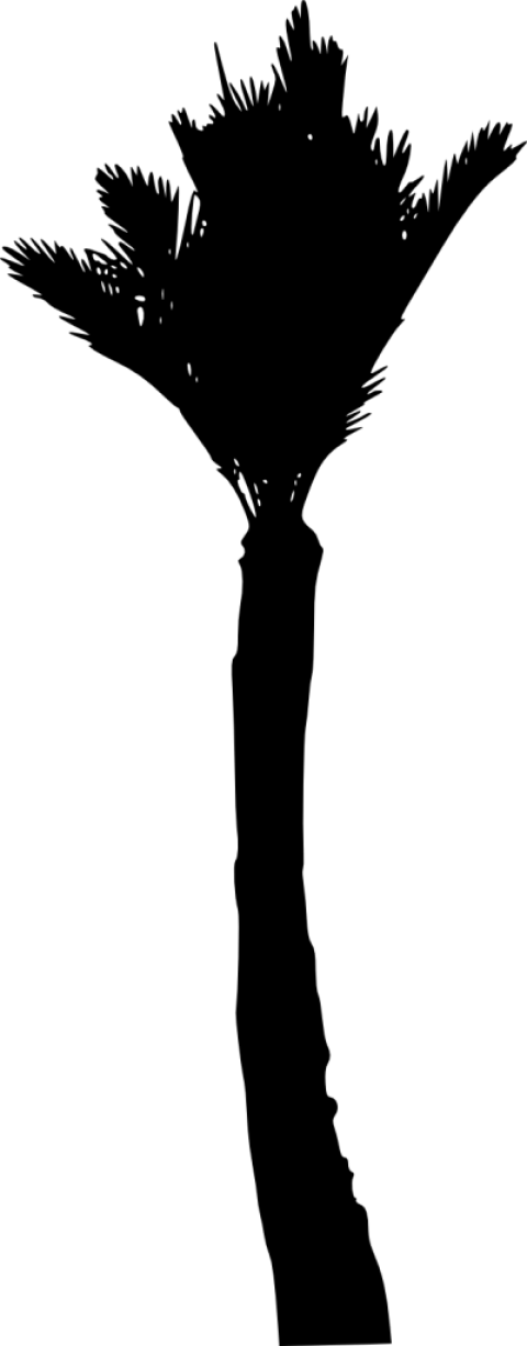 Free Png Palm Tree Silhouette Png - Silhouette (480x1226), Png Download