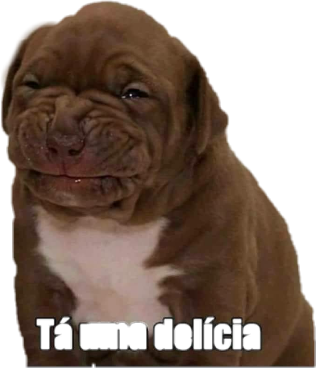 Memes Engraçados Em Casa (1024x1192), Png Download