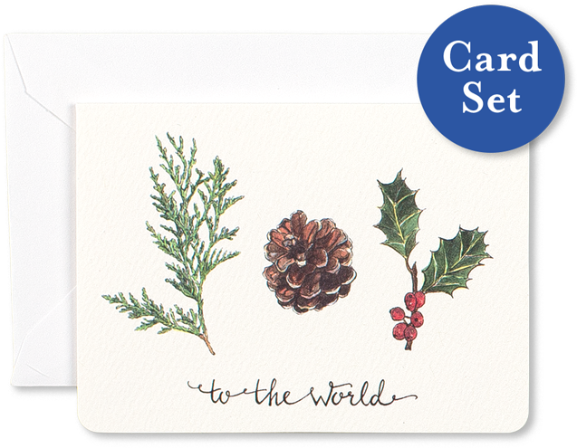 Nature's Joy Mini Card Set Of - Mexican Pinyon (1000x867), Png Download