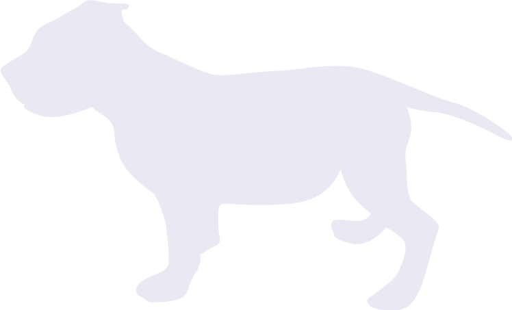 Cachorro Fondo - Dogo Argentino (748x453), Png Download