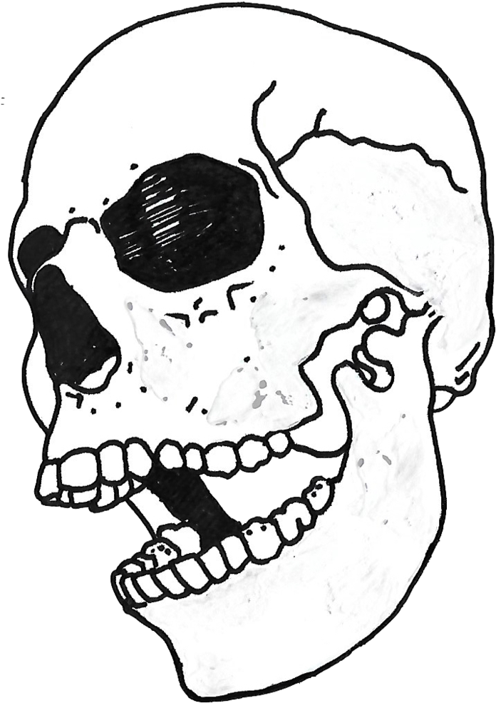 Skull Copy (750x1068), Png Download