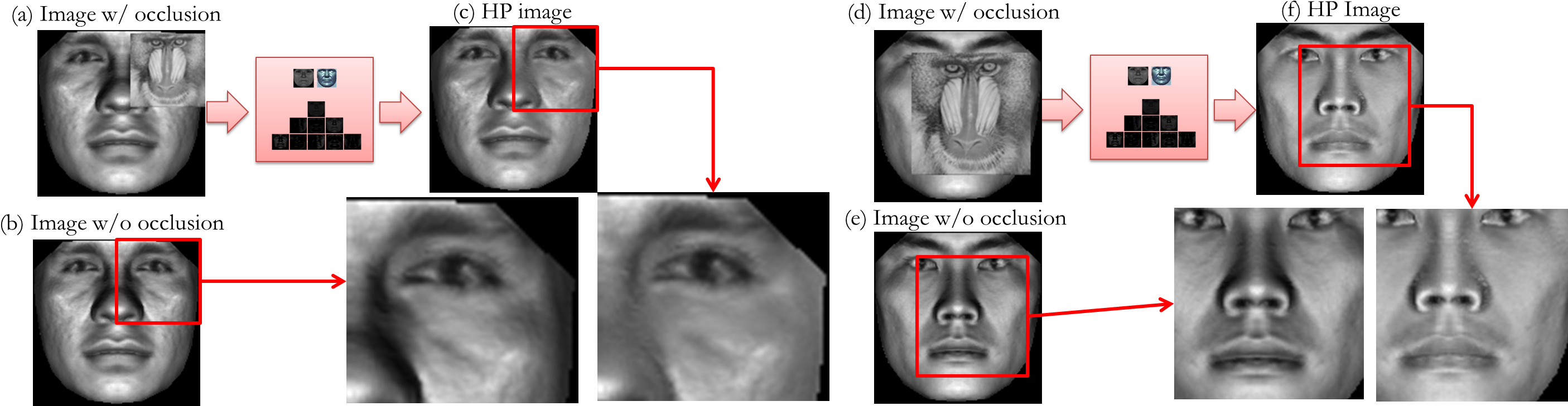 Two Samples Of Input Images And (e) Illuminated Using - Baboon (2838x751), Png Download