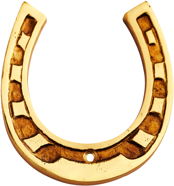 Horseshoe - Horseshoe Gold Png (600x600), Png Download