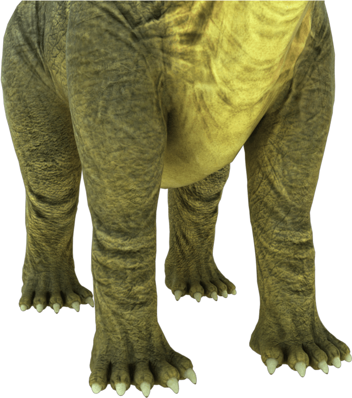 Brontosaurus Apatosaurus 3d Model - Terrestrial Animal (850x850), Png Download