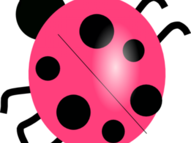 Ladybug Clipart Colored - Clip Art (640x480), Png Download