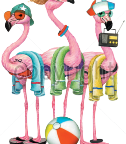 Flamingo Clipart Beach - Beach Flamingo Clipart (640x480), Png Download