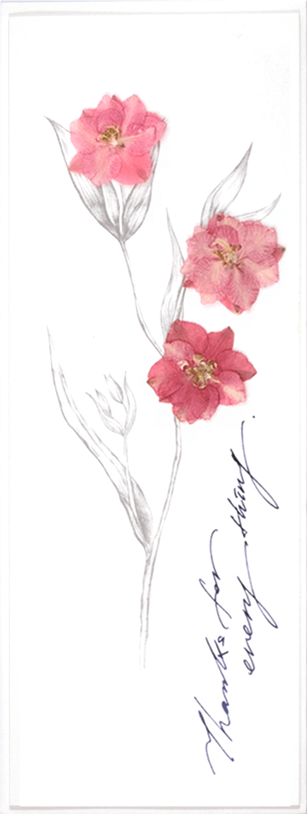 Pink Flower Sketch - Bouquet (1600x1610), Png Download