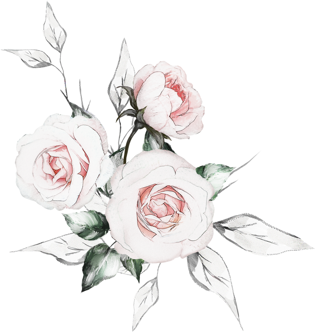Фотки Watercolor Drawing, Floral Watercolor, Botanical - Hybrid Tea Rose (1188x1280), Png Download