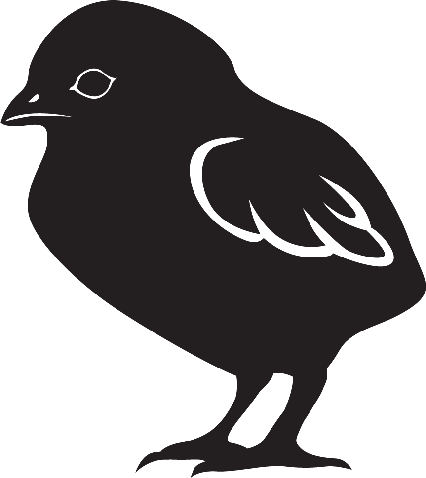 Chick Starter / Grower Is A "complete" Formula For - Old World Flycatcher (936x1032), Png Download