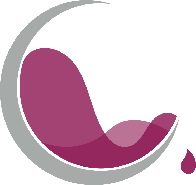 Elarra-logo (743x701), Png Download