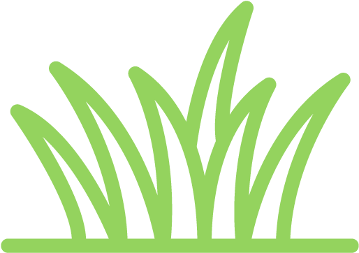 Raw & Organic 5 Grass Blend - French Words That Start With H (576x576), Png Download