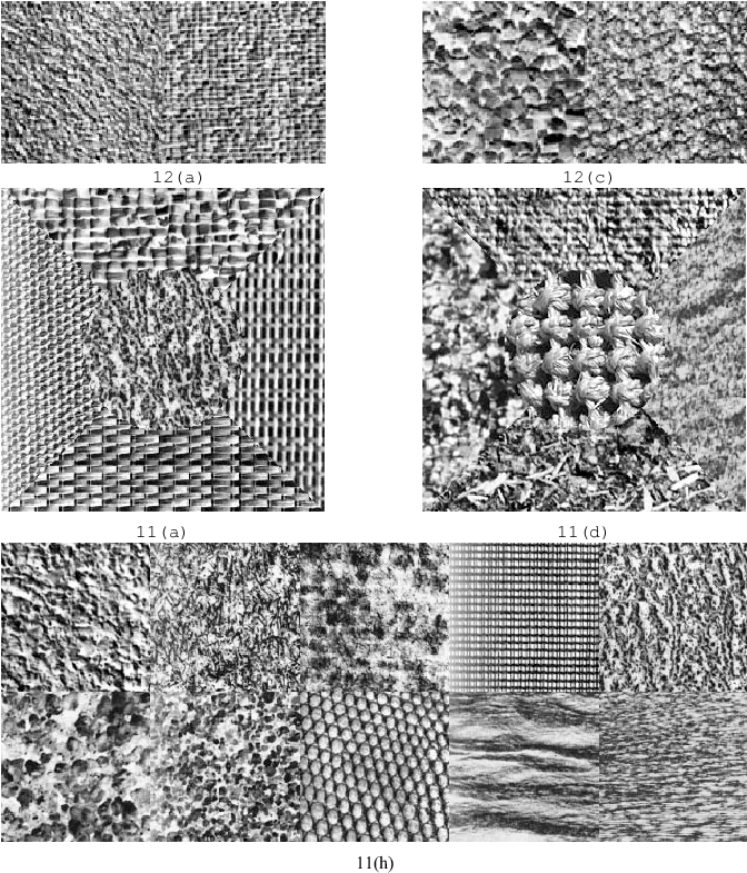 Texture Images Used To Evaluate The Proposed Network - Monochrome (671x793), Png Download