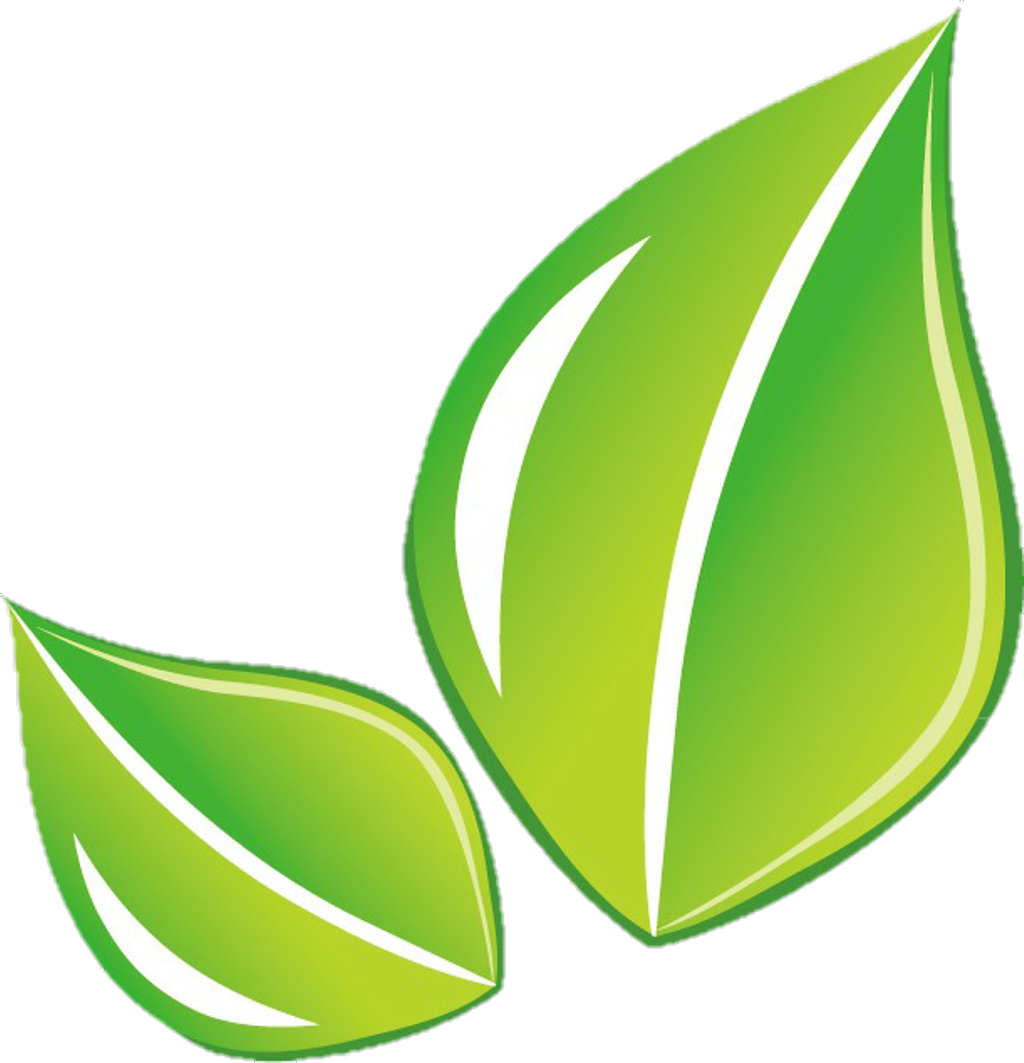 Clip Art (1024x1063), Png Download