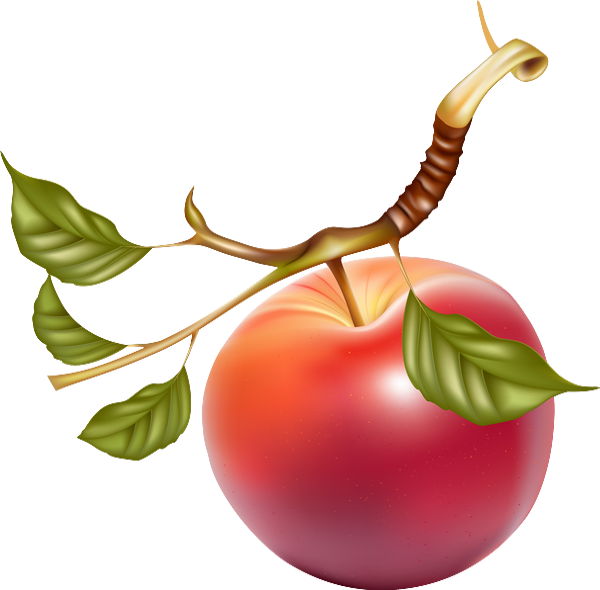 Romantic Apple (600x590), Png Download
