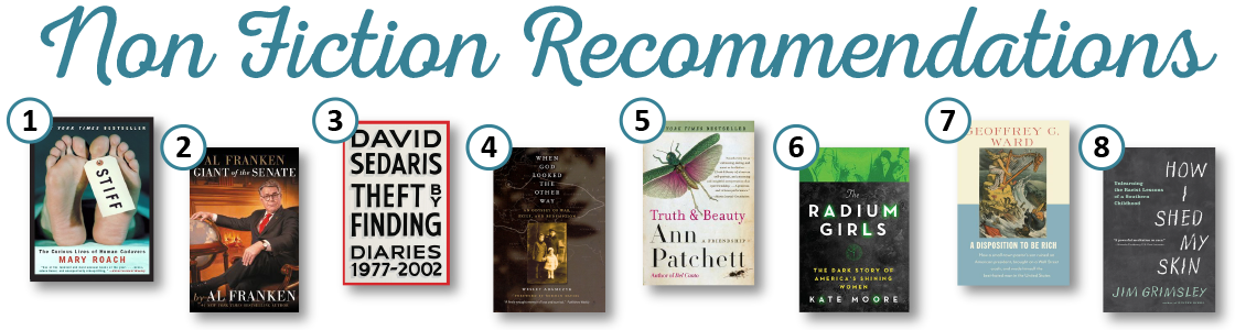 Summer Reading 2017 Adult Non Fiction Recommendations - Flyer (1120x300), Png Download