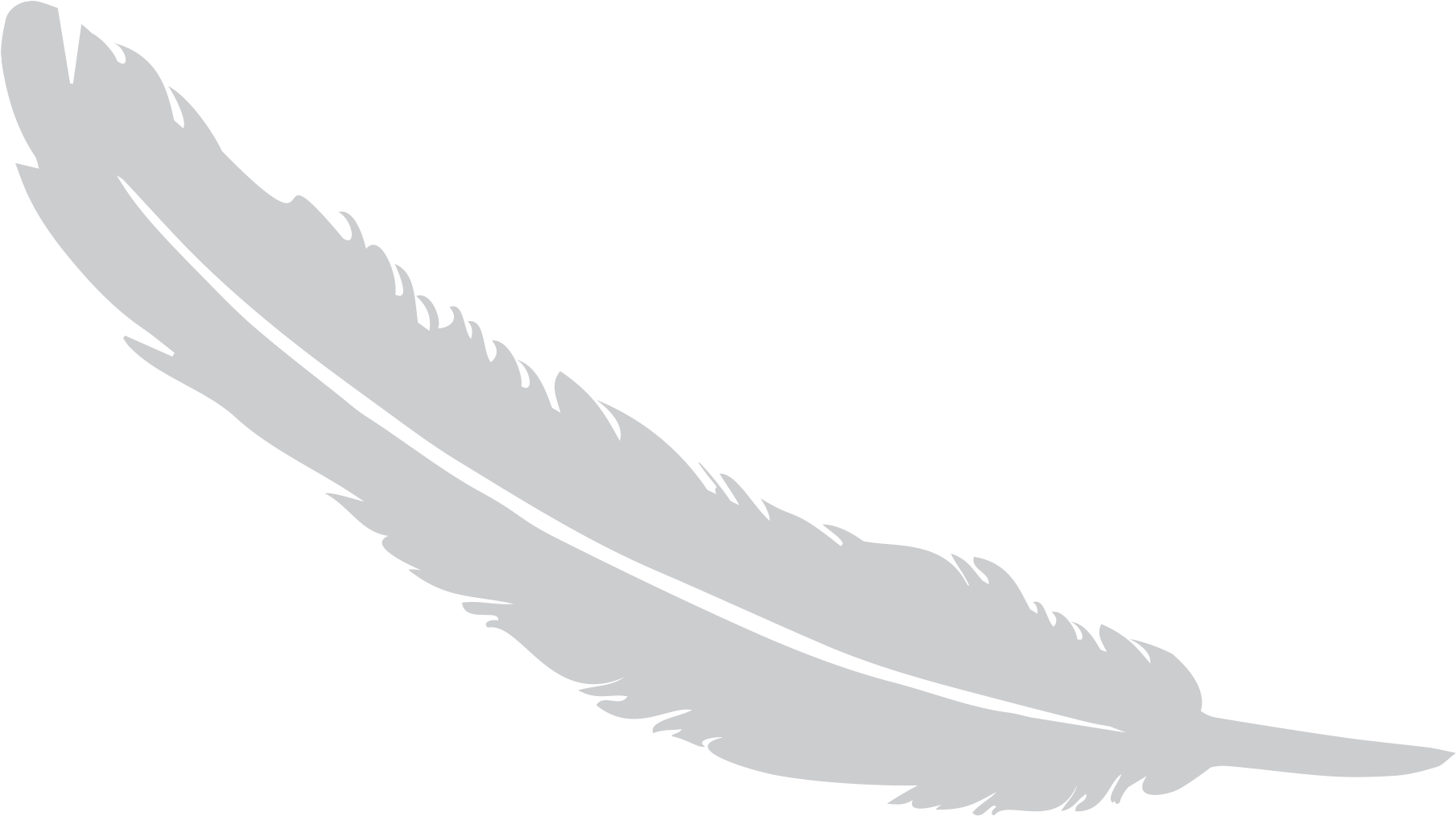 Feather Png - Illustration (1920x1080), Png Download